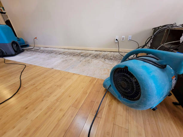 Professional Basement Flood Cleanup technician working in Williams, CA